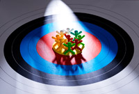 Target Audience Profiling, Target Audience, Company Profiling, Geo Targeting, Prospect profiling