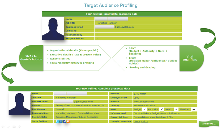Target Audience Profiling, Ideal Prospect Profile, Marketing & Sales Qualifiers, Executive Profiling, Targeted campaigns, firmographic,data,  Decision-Maker Contacts, SMARteInc, Bespoke Contacts